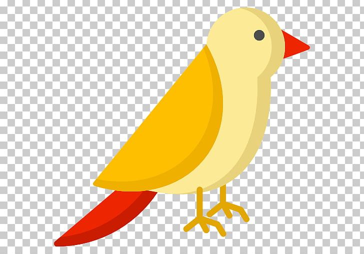 Computer Icons Encapsulated PostScript PNG, Clipart, Artwork, Avian Veterinarian, Beak, Bird, Computer Icons Free PNG Download