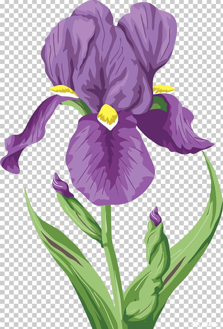 Irises Flower Raster Graphics PNG, Clipart, Clip Art, Color, Cut Flowers, Desktop Wallpaper, Digital Image Free PNG Download