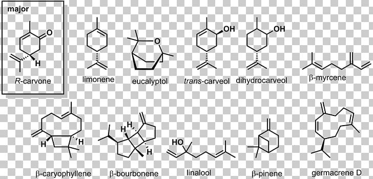 Terpene Menthol Carvone Myrcene Mentha Spicata PNG, Clipart, Angle, Auto Part, Essential, Hand, Limonene Free PNG Download