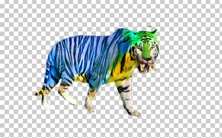 Tiger Big Cat Bento Wildlife PNG, Clipart, Bento, Big Cat, Big Cats, Carnivoran, Cat Free PNG Download