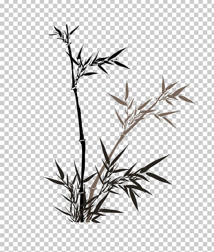 China Bamboo PNG, Clipart, Bamboo Painting, Black And White, Branch, Chinese Painting, Flora Free PNG Download