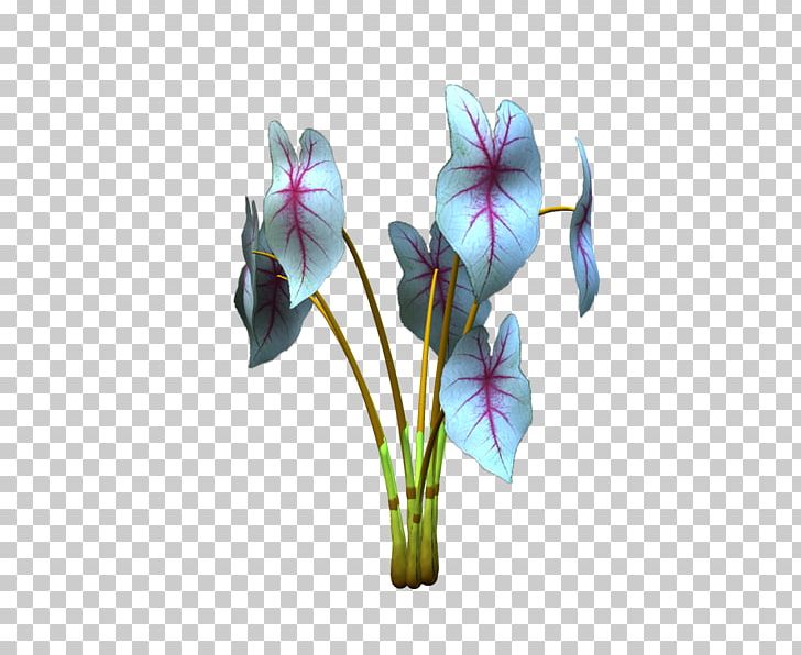 Violet Cut Flowers Plant Stem Violaceae PNG, Clipart, Cicek, Cicek Resimleri, Cut Flowers, Flora, Flower Free PNG Download