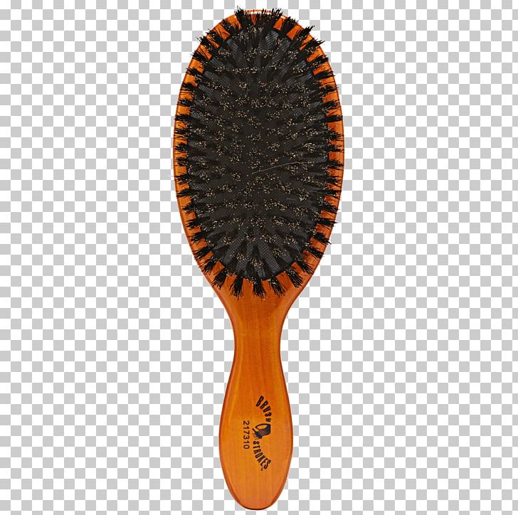 Wild Boar Comb Hairbrush Bristle PNG, Clipart, Animals, Boar, Bristle, Brush, Comb Free PNG Download