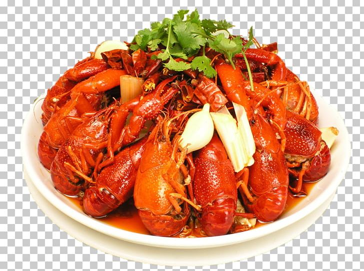 Xuyi County Palinurus Elephas Chinese Cuisine Pungency Mala Sauce PNG, Clipart, Animals, Animal Source Foods, Braising, Cajun Food, Cartoon Lobster Free PNG Download