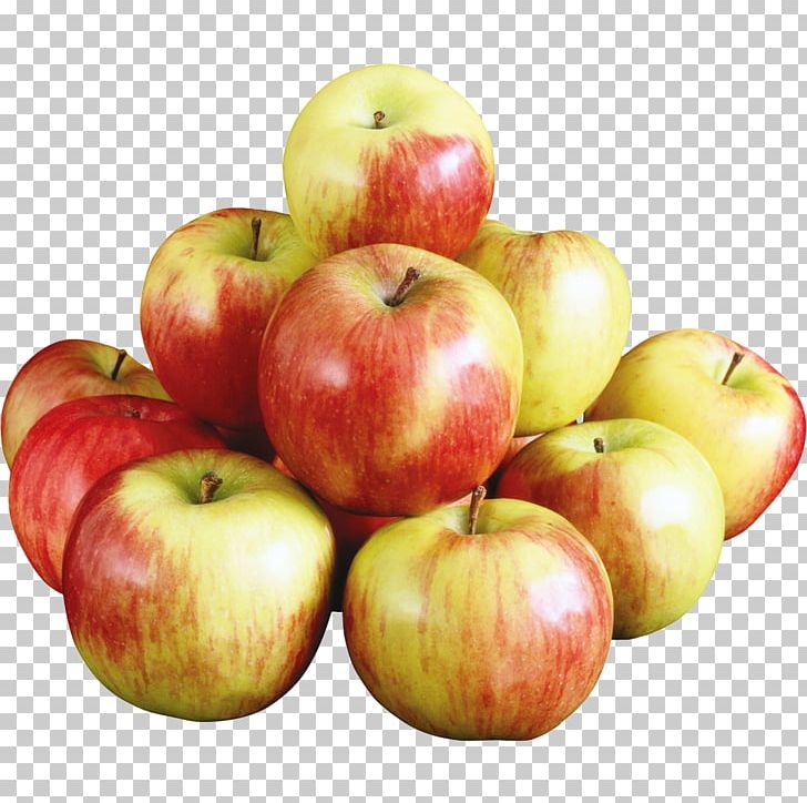 Aport Apple Kompot Fruit Salad PNG, Clipart, Antonovka, Aport, Aport Apple, Apple, Apples Free PNG Download