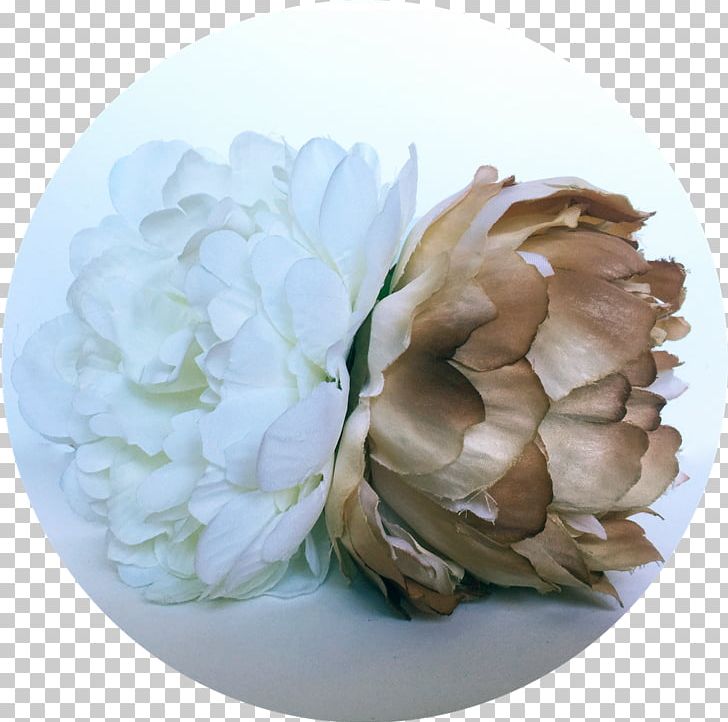 Peony Cut Flowers Petal PNG, Clipart, Cut Flowers, Flower, Flowering Plant, Nature, Peony Free PNG Download