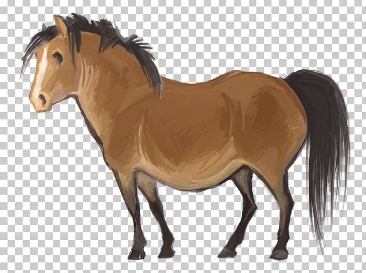 Pony Stallion Mane Thoroughbred Mustang PNG, Clipart, Animal Figure, Arabian Horse, Equestrian, Equine Conformation, Filly Free PNG Download