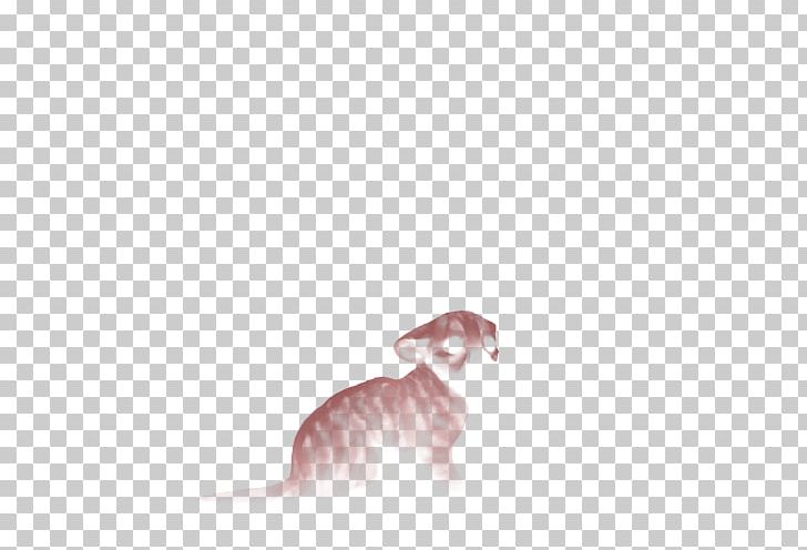 Whiskers Whippet Italian Greyhound Cat PNG, Clipart, 08626, Carnivoran, Cat, Cat Like Mammal, Dog Like Mammal Free PNG Download