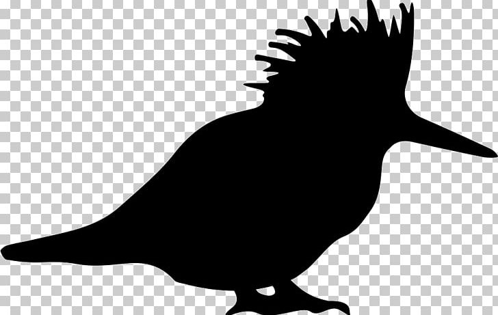 Beak Bird Common Ostrich Kingfisher Stencil PNG, Clipart, Animals, Beak, Bird, Bird Silhouette, Black Free PNG Download