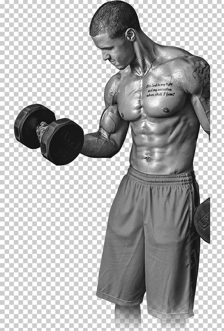 Bodybuilding Weight Training Physical Fitness Barbell Exercise Equipment PNG, Clipart, Abdomen, Aggression, Arm, Back, Biceps Curl Free PNG Download