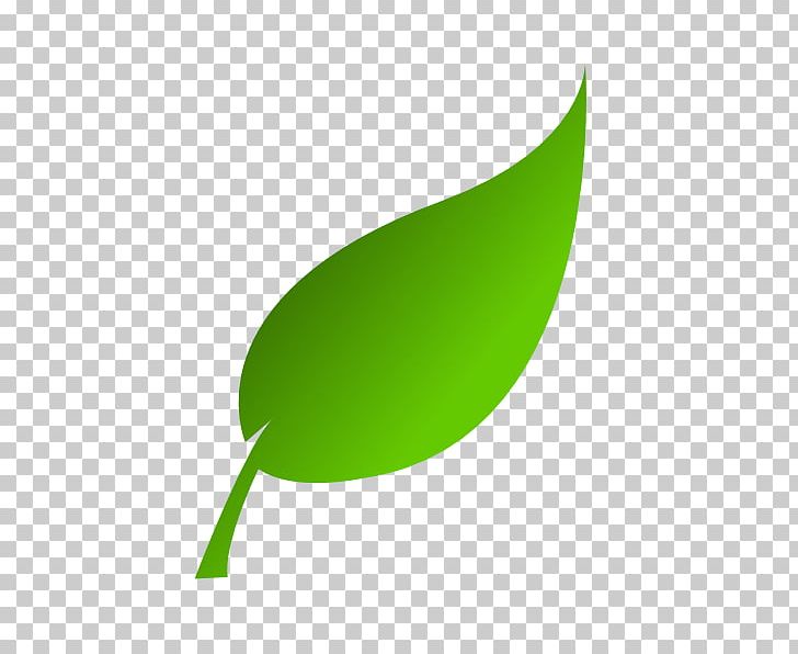 Leaf Free Content PNG, Clipart, Autumn Leaf Color, Blog, Computer Icons, Drawing, Free Content Free PNG Download