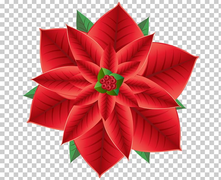 Poinsettia Christmas Decoration Flower PNG, Clipart, Art Paper, Christmas, Christmas Decoration, Christmas Ornament, Desktop Wallpaper Free PNG Download