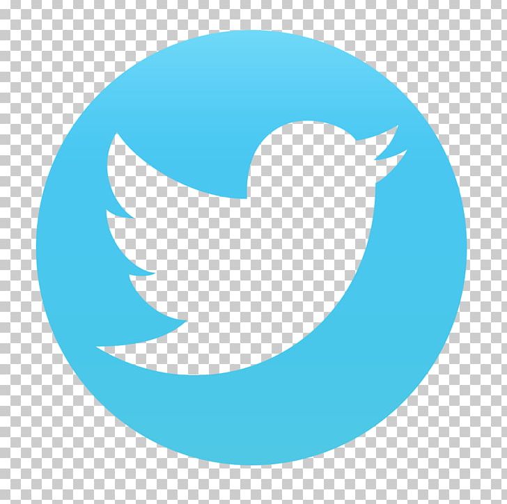 Social Media Logo Computer Icons Business PNG, Clipart, Advertising, Aqua, Beak, Blue, Business Free PNG Download