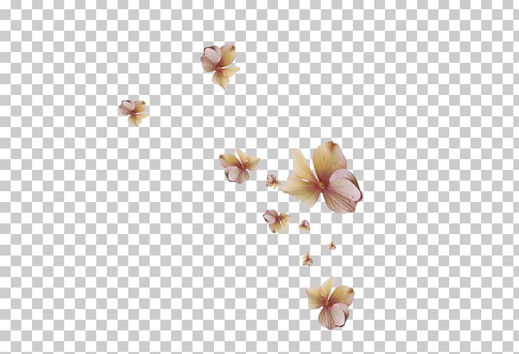 Petal Flower Leaf Farandole PNG, Clipart,  Free PNG Download