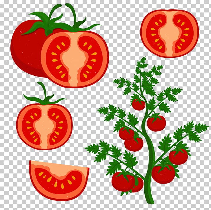 Cherry Tomato PNG, Clipart, Artwork, Creative, Diet Food, Encapsulated Postscript, Flowe Free PNG Download