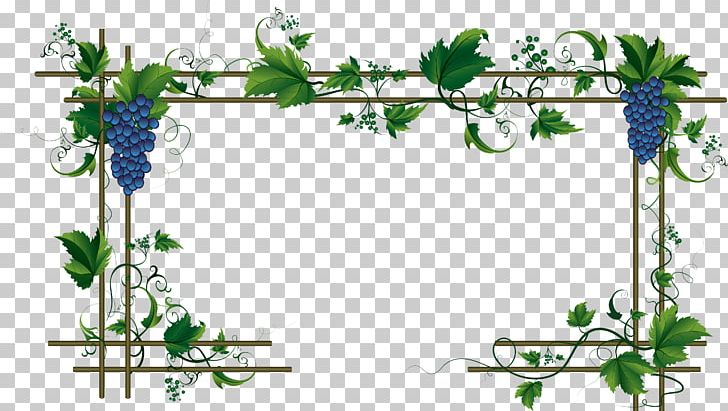 Common Grape Vine Wine Concord Grape PNG, Clipart, Branch, Cut Flowers, Flora, Floral Design, Flower Free PNG Download