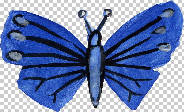 Monarch Butterfly Insect Watercolor Painting PNG, Clipart, Arthropod, Brush Footed Butterfly, Butterflies And Moths, Butterfly, Cobalt Blue Free PNG Download