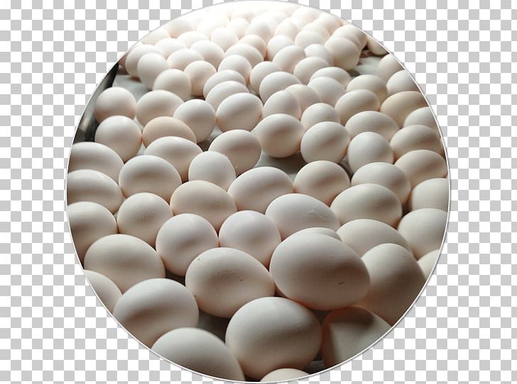 Egg Protein Gena Agropecuaria SA De CV Amino Acid PNG, Clipart, Amino Acid, Broken Egg, Directory, Egg, Food Drinks Free PNG Download