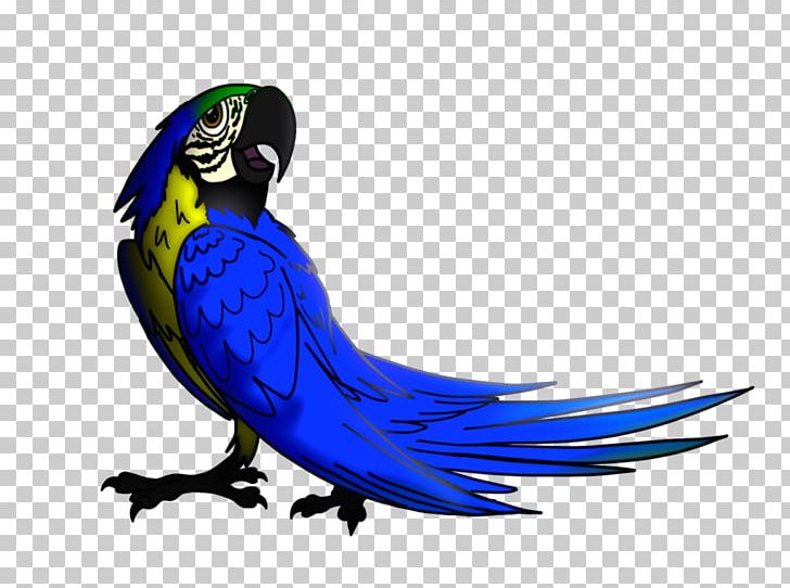 Military Macaw Parrot Parakeet Blu PNG, Clipart,  Free PNG Download