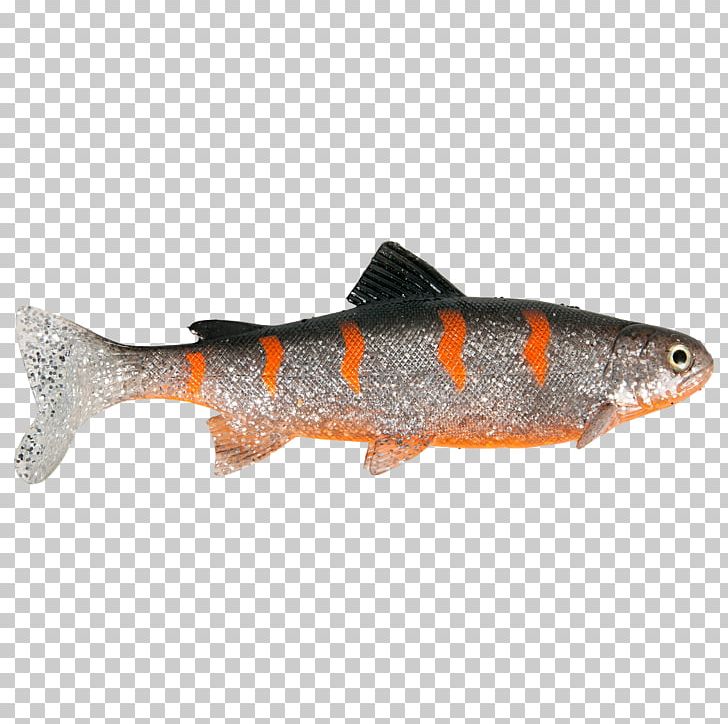 Trout Fishing Baits & Lures Herring Oily Fish PNG, Clipart, Animal Source Foods, Bait, Bony Fish, Coastal Cutthroat Trout, Cod Free PNG Download