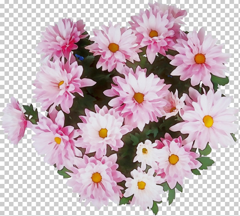 Floral Design PNG, Clipart, Artificial Flower, Arumlily, Chrysanthemum, Cut Flowers, Dahlia Free PNG Download