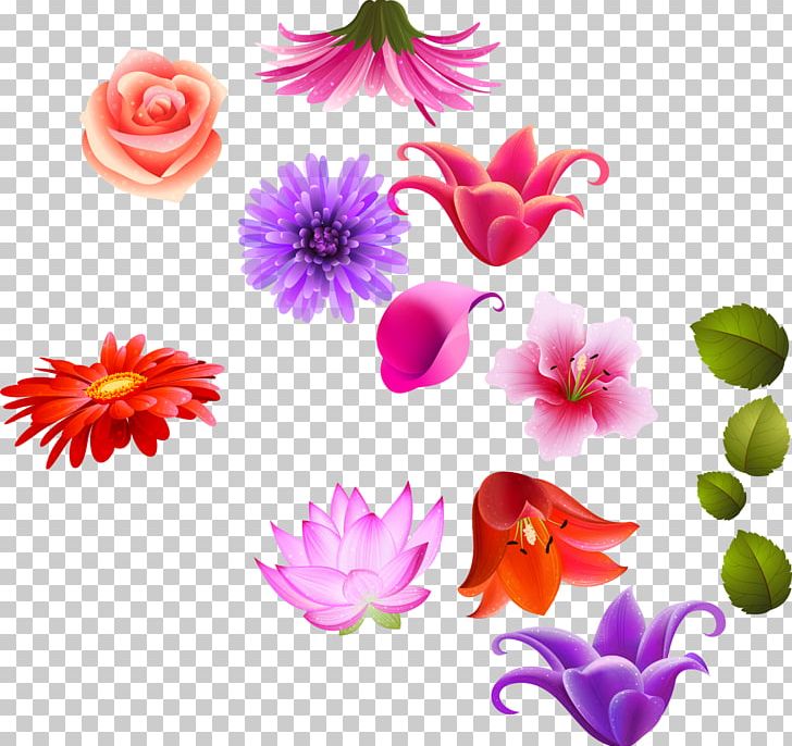 Floral Design Lilium Cut Flowers PNG, Clipart, Annual Plant, Blog, Blogger, Cut Flowers, Email Free PNG Download