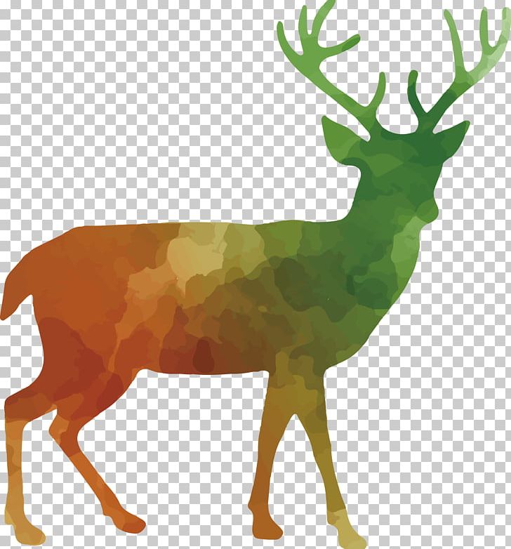 White-tailed Deer Red Deer Reindeer PNG, Clipart, Animals, Animal Vector, Antler, Color, Color Pencil Free PNG Download