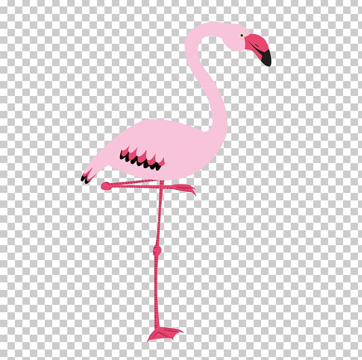 Flamingo Bird Cygnini PNG, Clipart, Adobe Illustrator, Animals, Beak, Crane Like Bird, Download Free PNG Download