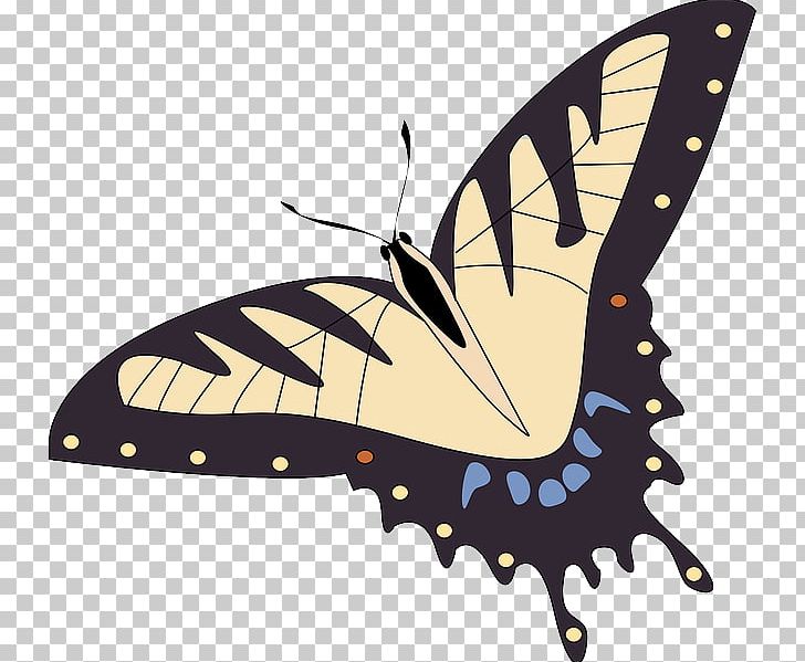 Butterfly Papillon Dog Morpho Peleides Insect PNG, Clipart, Arthropod, Brush Footed Butterfly, Butter, Butterfly, Computer Icons Free PNG Download