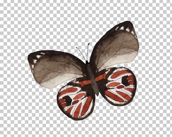 Butterfly Painting Drawing PNG, Clipart, Art, Arthropod, Blue Butterfly, Brush Footed Butterfly, Butterflies Free PNG Download