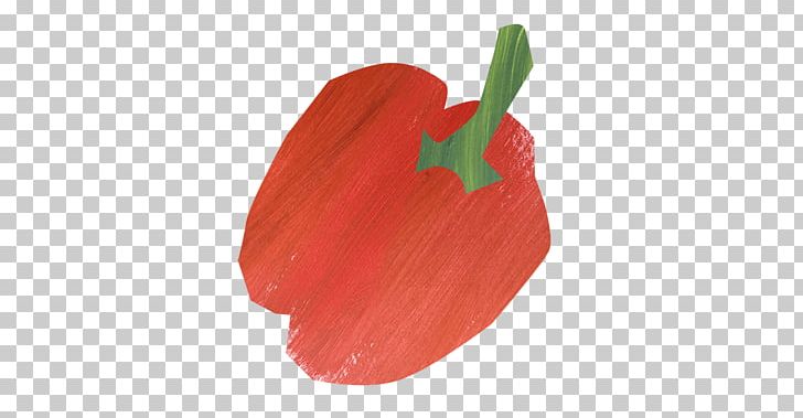 Chili Pepper Petal Tulip Fruit PNG, Clipart, Bell Peppers And Chili Peppers, Chili Pepper, Coquelicot, Flower, Flowers Free PNG Download