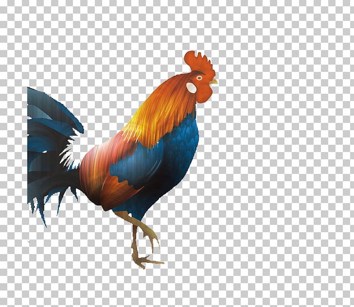 Dorking Chicken Broiler Rooster Chinese New Year PNG, Clipart, Animals, Beak, Big Ben, Bird, Broiler Free PNG Download