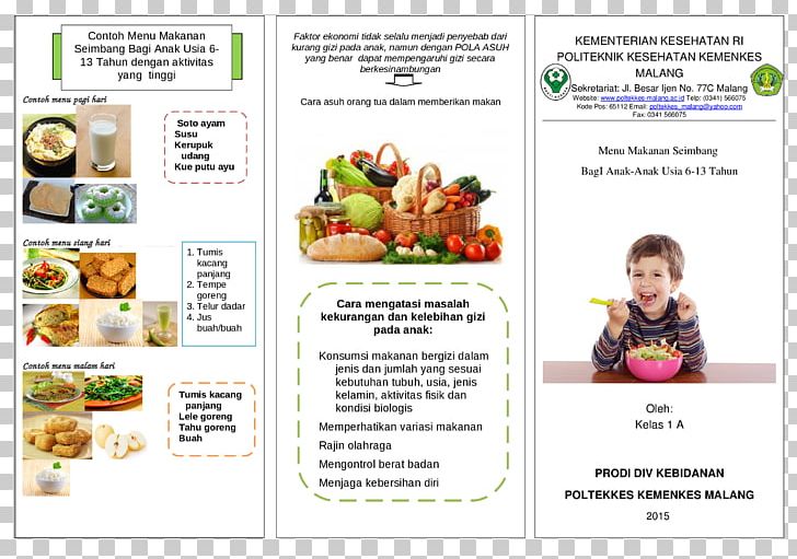 Food Pyramid Health Pamphlet Folded Leaflet PNG, Clipart, Advertising, Brochure, Child, Cuisine, Document Free PNG Download
