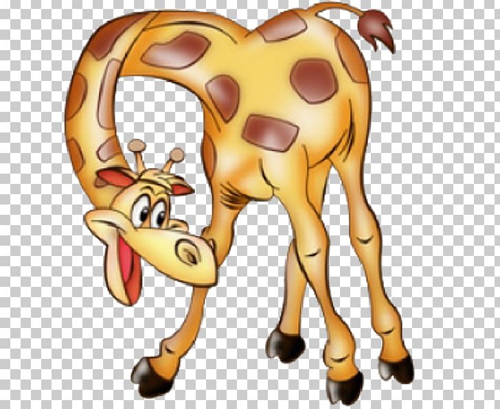 Northern Giraffe Photography Animal PNG, Clipart, Animal, Bookcase, Cartoon, Cattle Like Mammal, Clip Art Free PNG Download