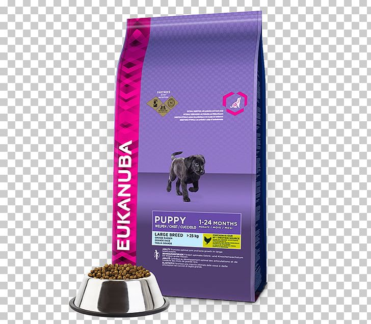 Puppy Eukanuba Dog Food Labrador Retriever Pet Shop PNG, Clipart,  Free PNG Download