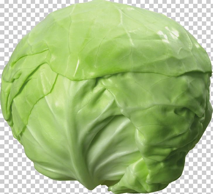 Cabbage Stew Red Cabbage Food PNG, Clipart, Athletes, Bikini, Cabbage, Cabbage Soup, Cabbage Soup Diet Free PNG Download