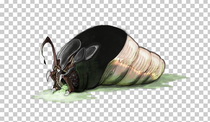 Fauna Insect Scarab Pest Membrane PNG, Clipart, Arthropod, Beetle, Creature, Creeper, Echo Free PNG Download