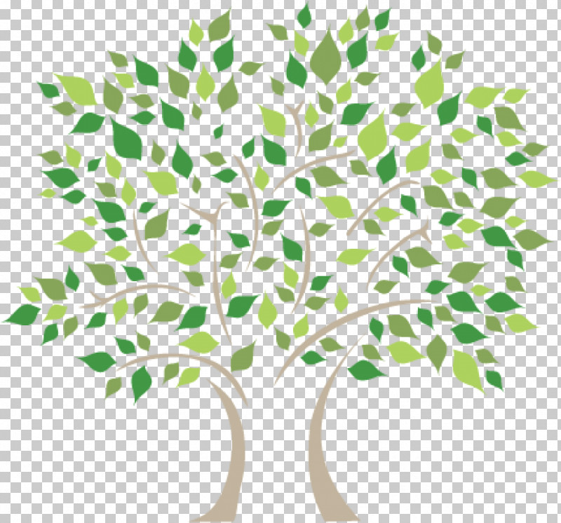Plane PNG, Clipart, Branch, Flower, Green, Leaf, Plane Free PNG Download