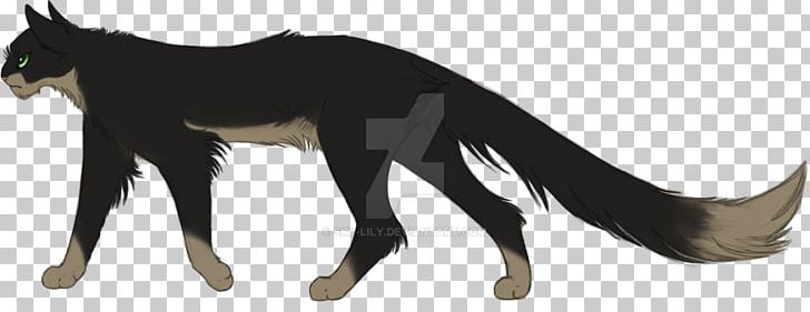 Whiskers Dog Cat Character Mammal PNG, Clipart, Animal, Animal Figure, Animals, Black, Black M Free PNG Download