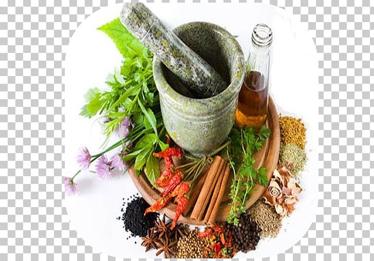 Dindigul Siddhartha Siddha Medicine Govt. Siddha Medical College PNG, Clipart, Diet Food, Dindigul, Guru, Herb, Herbal Free PNG Download