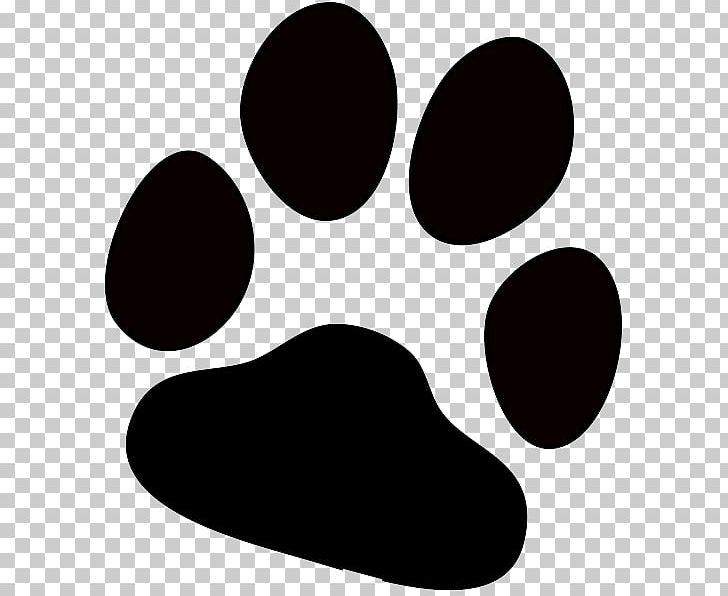 Dog Paw Cat PNG, Clipart, Animals, Black, Black And White, Cat, Desktop Wallpaper Free PNG Download
