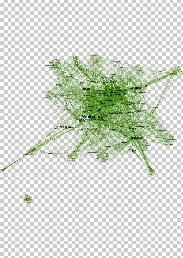 Leaf Green Plant Stem Herb PNG, Clipart, Cup, Fifa, Grass, Green, Herb Free PNG Download