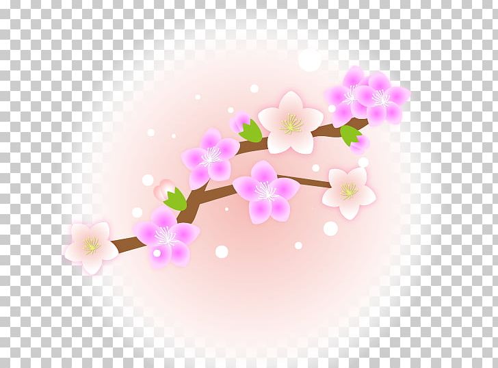 Peach Flower . PNG, Clipart, Blossom, Branch, Branching, Cherries, Cherry Blossom Free PNG Download