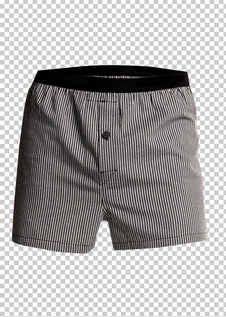 Swim Briefs Trunks Underpants Bermuda Shorts PNG, Clipart, Active Shorts, Bermuda Shorts, Boxers, Boxer Shorts, Briefs Free PNG Download