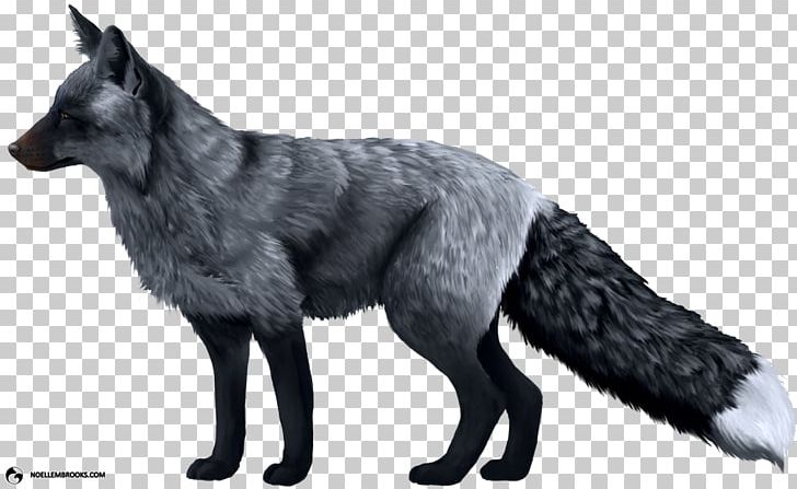 Domesticated Red Fox Silver Fox Arctic Fox Dog PNG, Clipart, Animals, Arctic Fox, Black And White, Canidae, Canis Lupus Tundrarum Free PNG Download