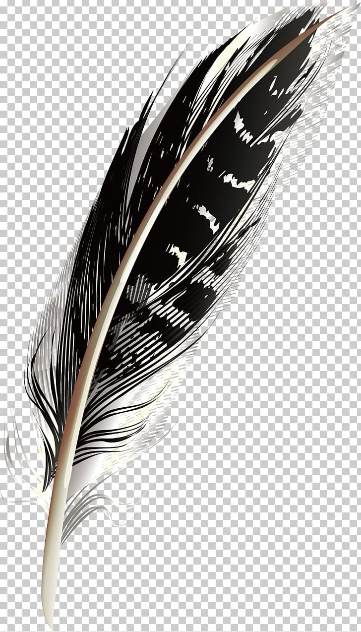 Feather PNG, Clipart, Abstract Pattern, Animals, Black Background, Black Feathers, Black Pattern Free PNG Download