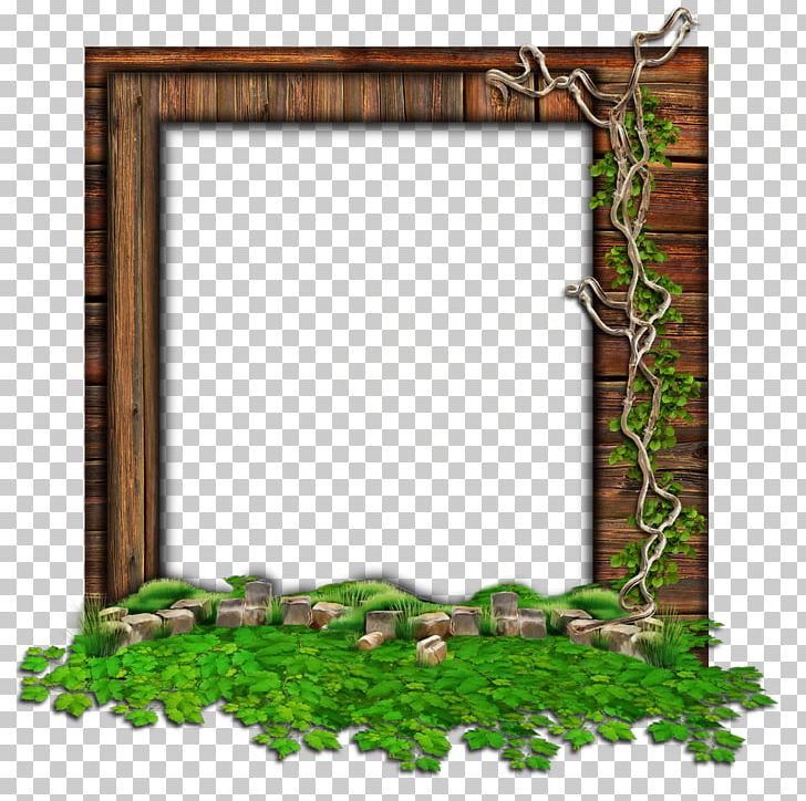 Frames Window PNG, Clipart, Biome, Border, Branch, Desktop Wallpaper, Flora Free PNG Download