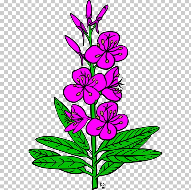 Alaska Fireweed Computer Icons PNG, Clipart, Alaska, Artwork, Computer Icons, Cut Flowers, Drawing Free PNG Download