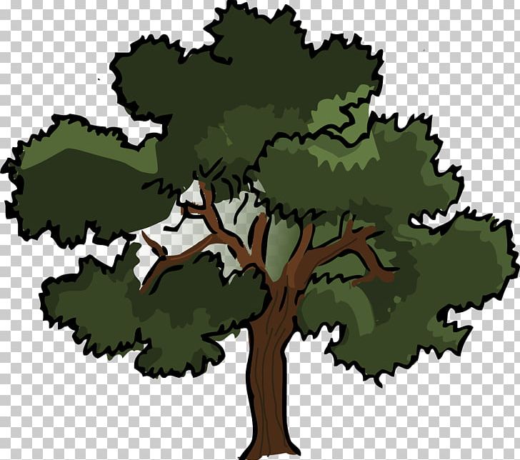 Oak Tree PNG, Clipart, Cartoon, Cartoon Tree, Clip Art, Drawing, Flowering Plant Free PNG Download