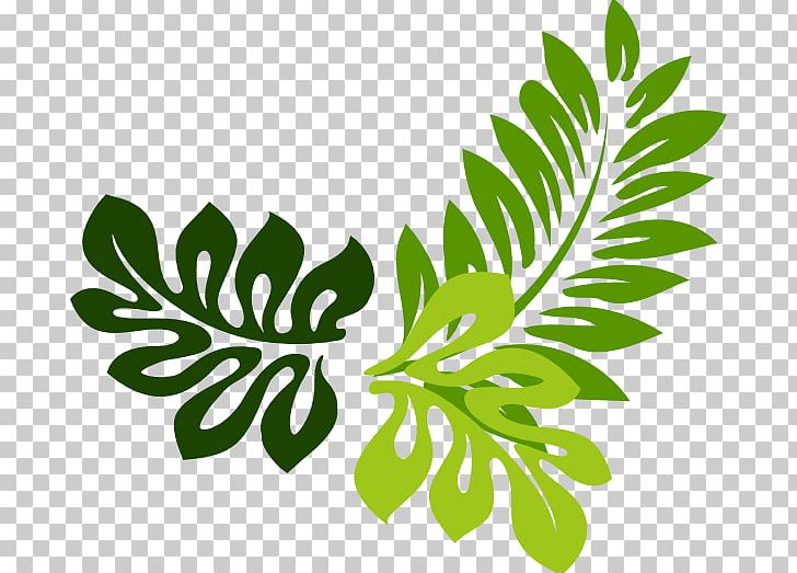 Leaf Vegetable Food Leaf PNG, Clipart, Branch, Clip Art, Download, Drawing, Facebook Free PNG Download